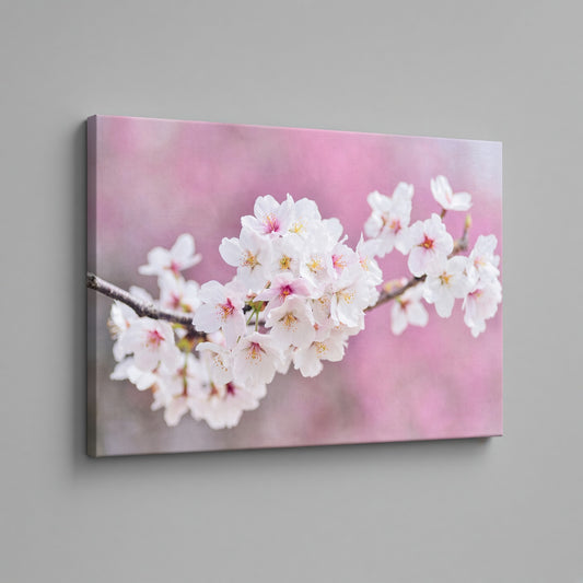 A rectangular wall art print or canvas showing a close-up of white and pink cherry blossoms on a branch against a soft pink background, mounted on a light gray wall.