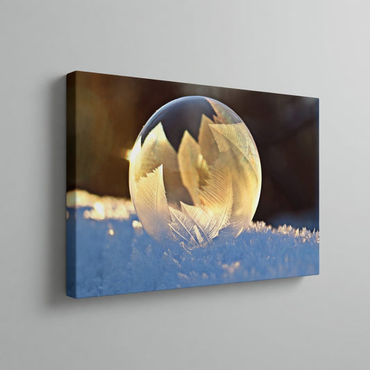 Frozen Soap Bubble