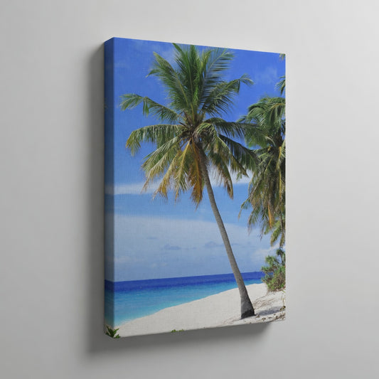 Palm Tree