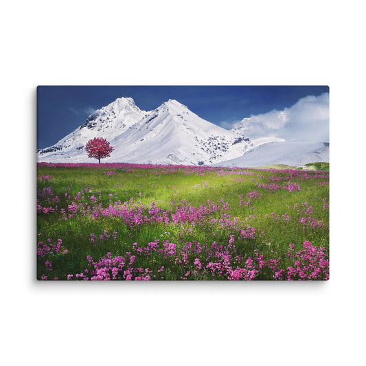 Alps