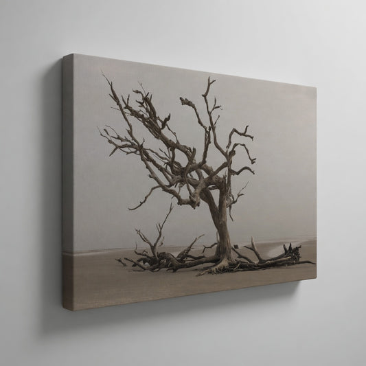 Driftwood