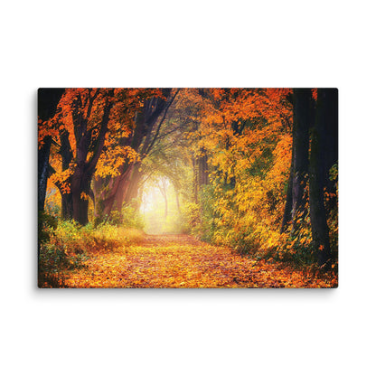 Fall Avenue