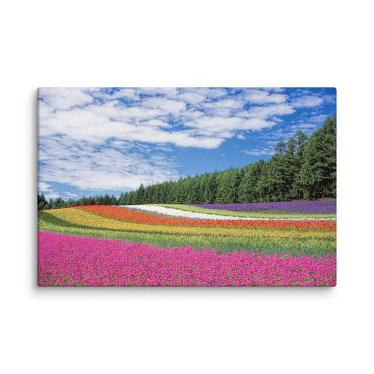 Flower Field