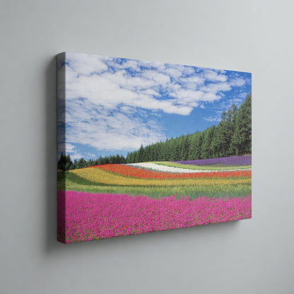 Flower Field