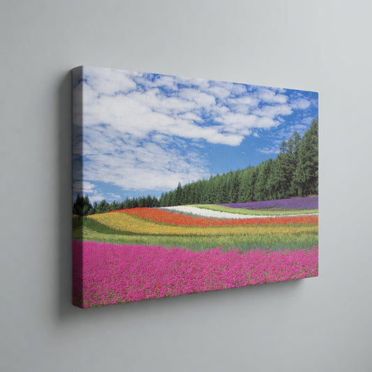 Flower Field