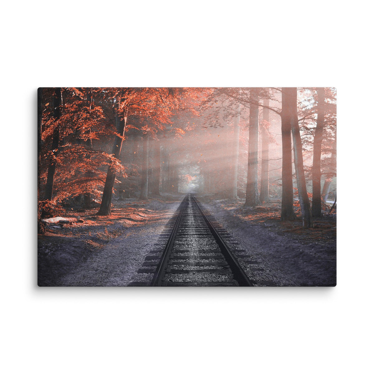 Forest Railroad