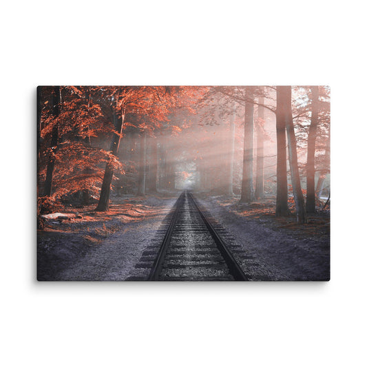 Forest Railroad