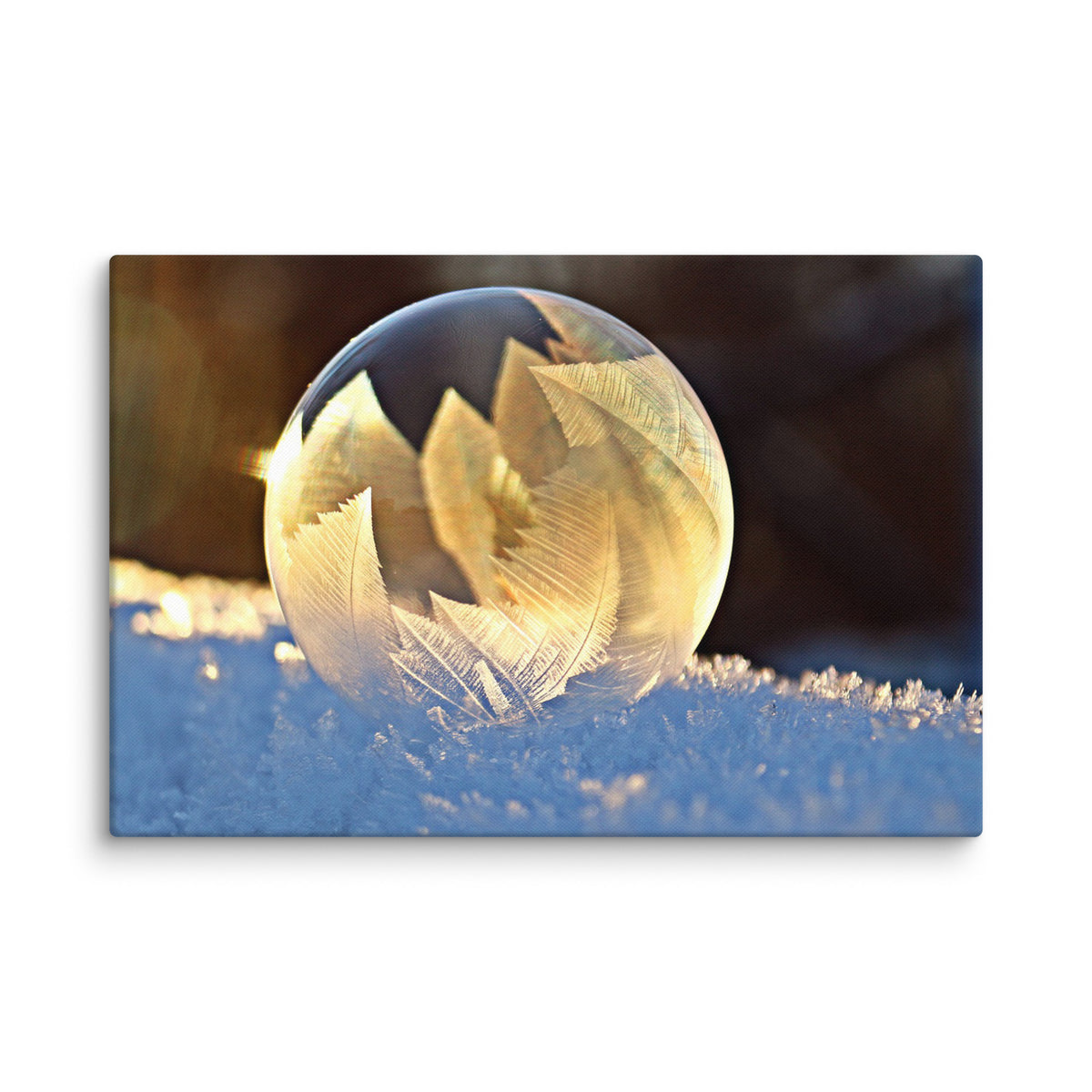 Frozen Soap Bubble