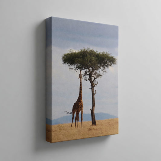 Giraffe II