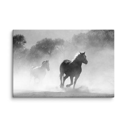 Horses In Fog