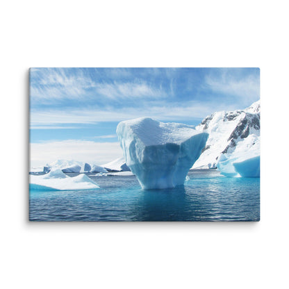 Iceberg