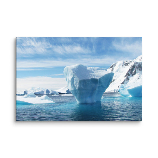 Iceberg