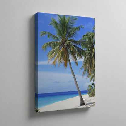 Palm Tree