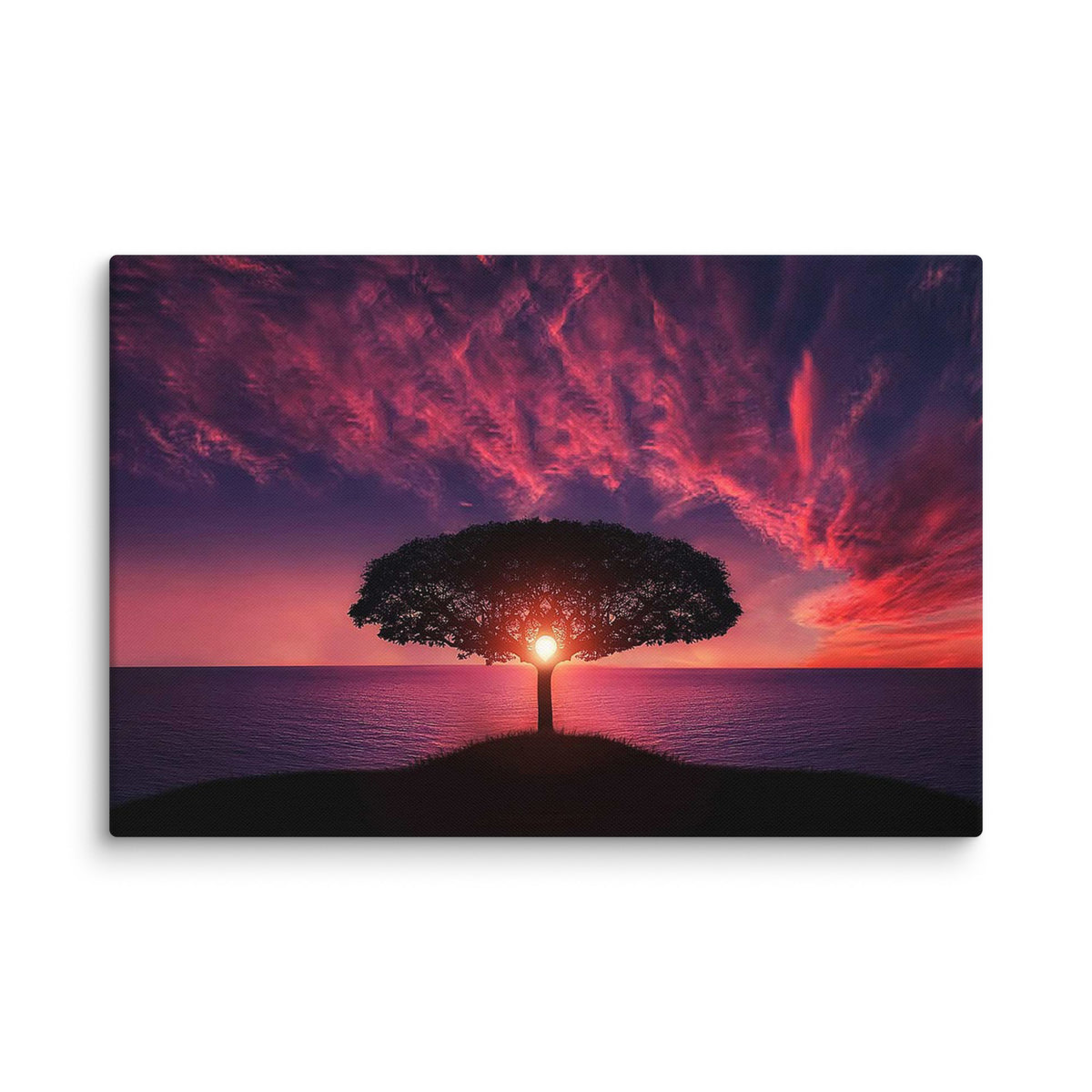 Sunset Tree