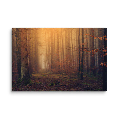 Twilight