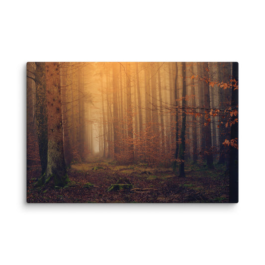 Twilight
