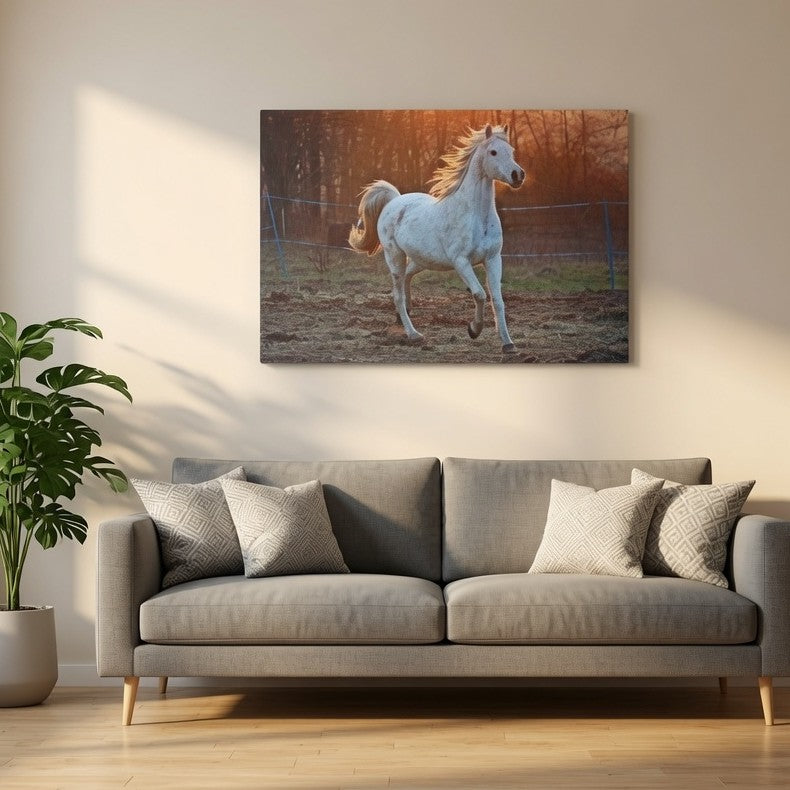 White Horse